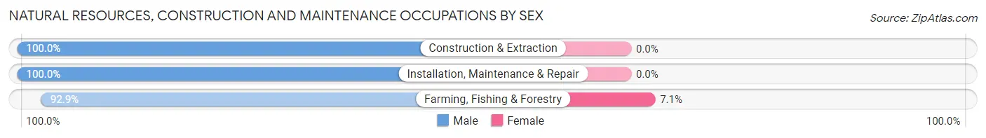 Natural Resources, Construction and Maintenance Occupations by Sex in Clay Center