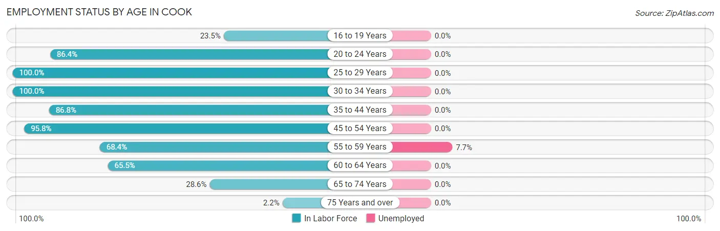 Employment Status by Age in Cook