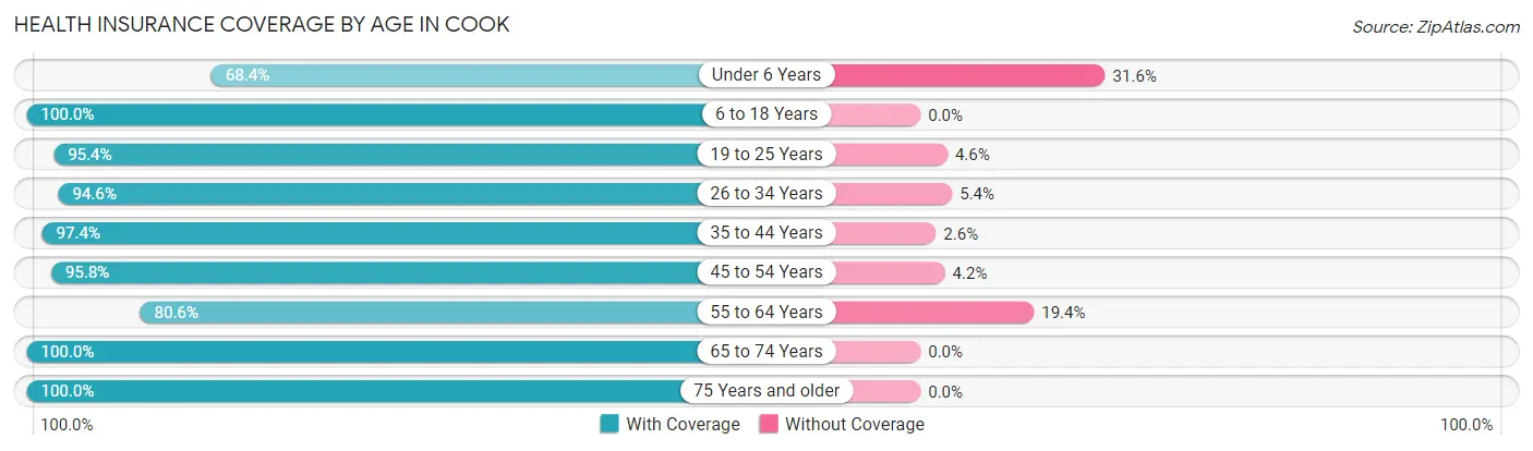 Health Insurance Coverage by Age in Cook
