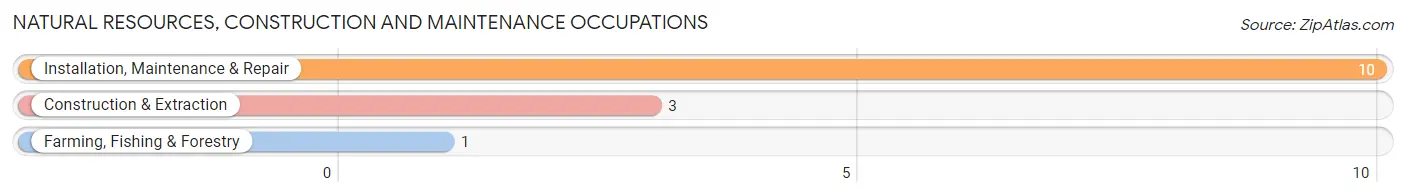 Natural Resources, Construction and Maintenance Occupations in Cook