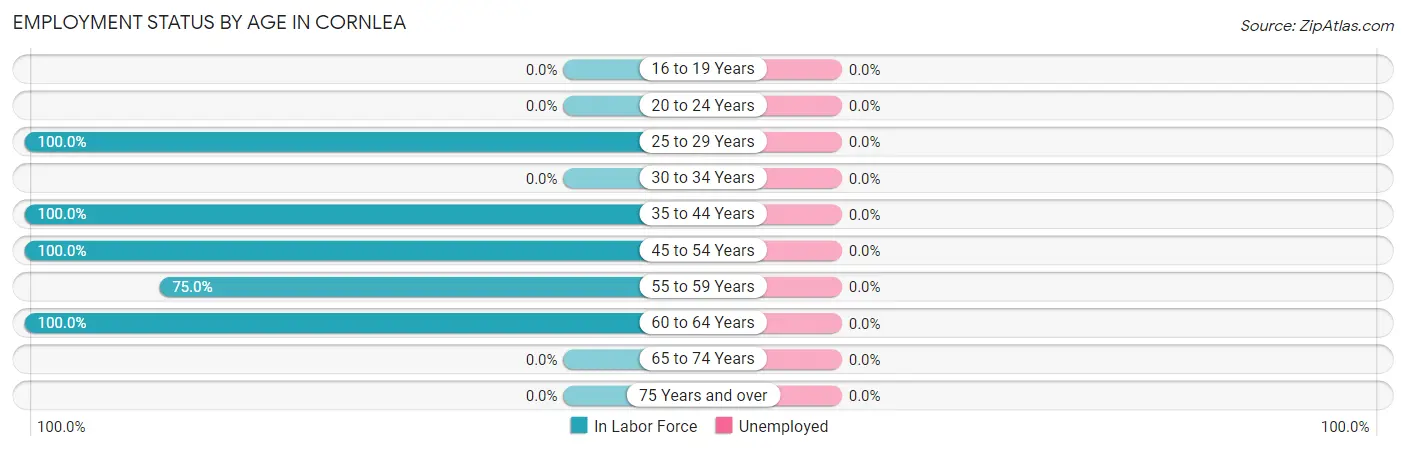Employment Status by Age in Cornlea