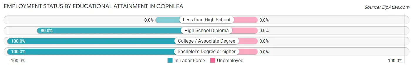 Employment Status by Educational Attainment in Cornlea