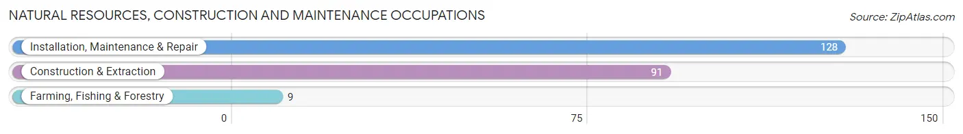 Natural Resources, Construction and Maintenance Occupations in Cozad