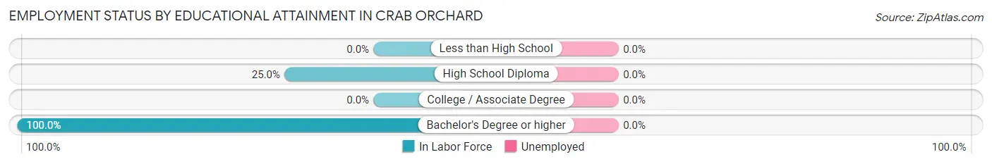 Employment Status by Educational Attainment in Crab Orchard