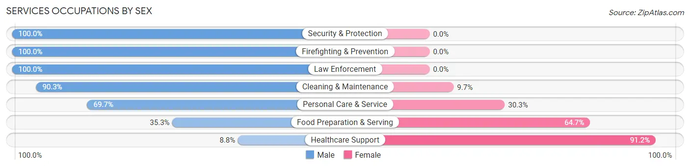 Services Occupations by Sex in Creighton