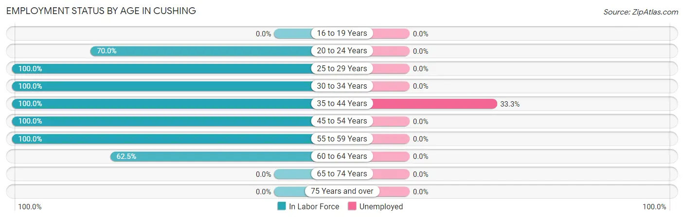 Employment Status by Age in Cushing
