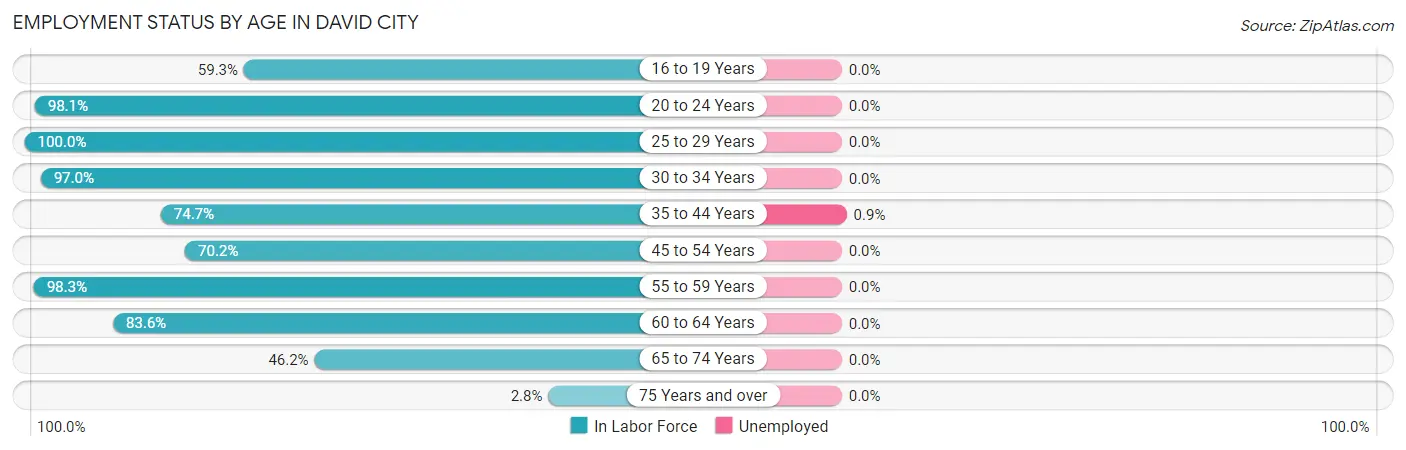 Employment Status by Age in David City