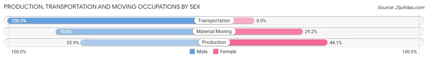 Production, Transportation and Moving Occupations by Sex in David City