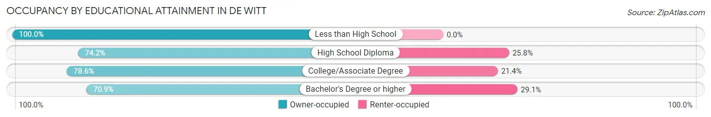 Occupancy by Educational Attainment in De Witt