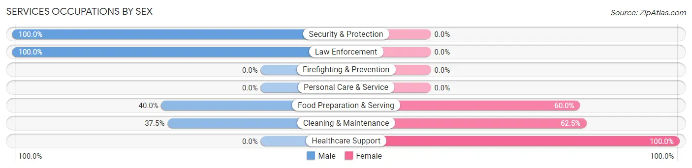 Services Occupations by Sex in De Witt