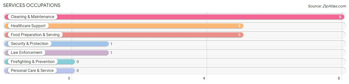 Services Occupations in De Witt