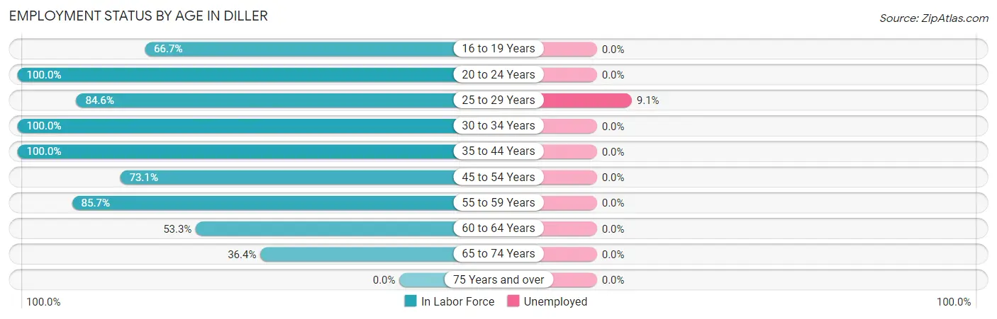 Employment Status by Age in Diller