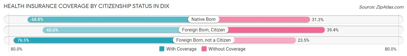 Health Insurance Coverage by Citizenship Status in Dix