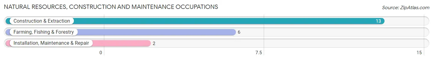 Natural Resources, Construction and Maintenance Occupations in Du Bois