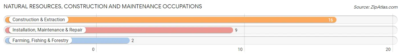 Natural Resources, Construction and Maintenance Occupations in Duncan