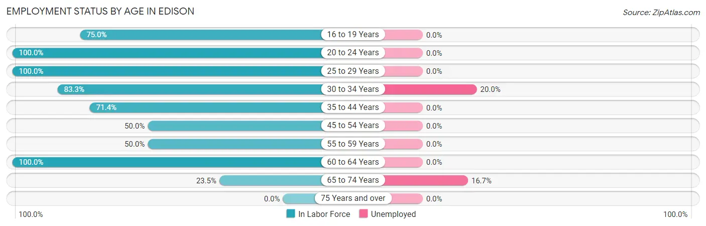 Employment Status by Age in Edison