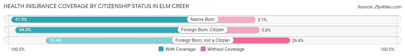 Health Insurance Coverage by Citizenship Status in Elm Creek