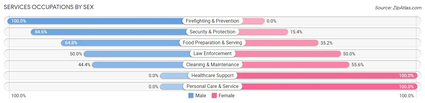 Services Occupations by Sex in Emerson