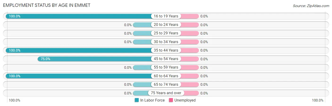 Employment Status by Age in Emmet