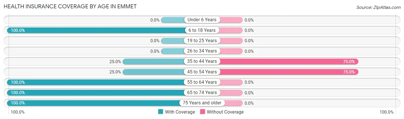 Health Insurance Coverage by Age in Emmet