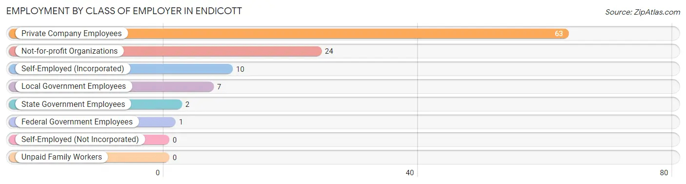 Employment by Class of Employer in Endicott