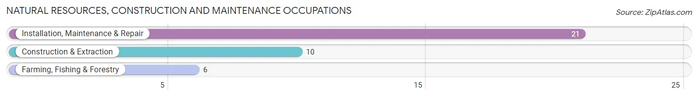 Natural Resources, Construction and Maintenance Occupations in Exeter