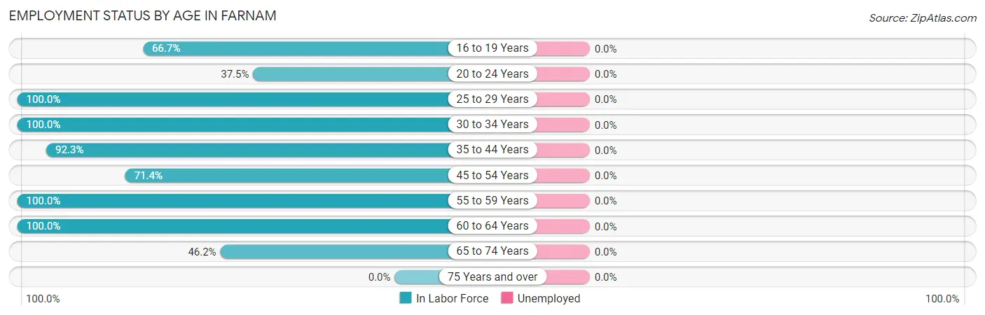 Employment Status by Age in Farnam