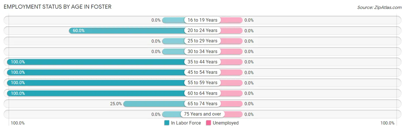 Employment Status by Age in Foster