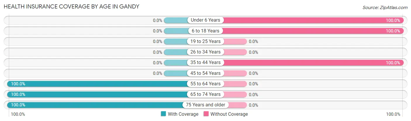 Health Insurance Coverage by Age in Gandy