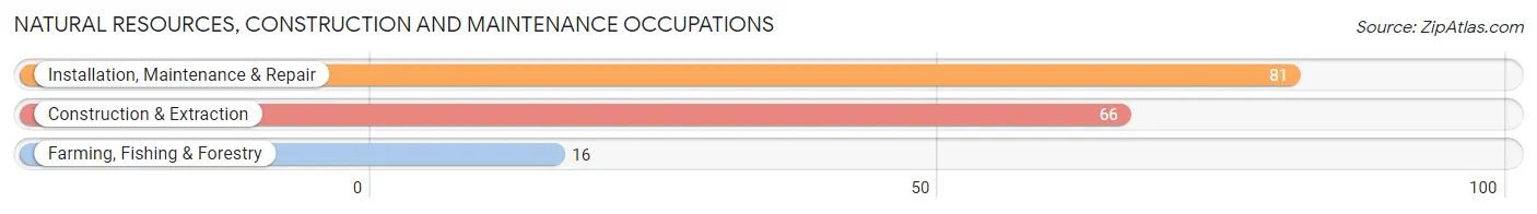 Natural Resources, Construction and Maintenance Occupations in Geneva