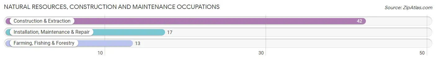 Natural Resources, Construction and Maintenance Occupations in Genoa