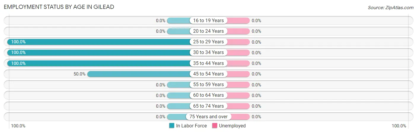 Employment Status by Age in Gilead