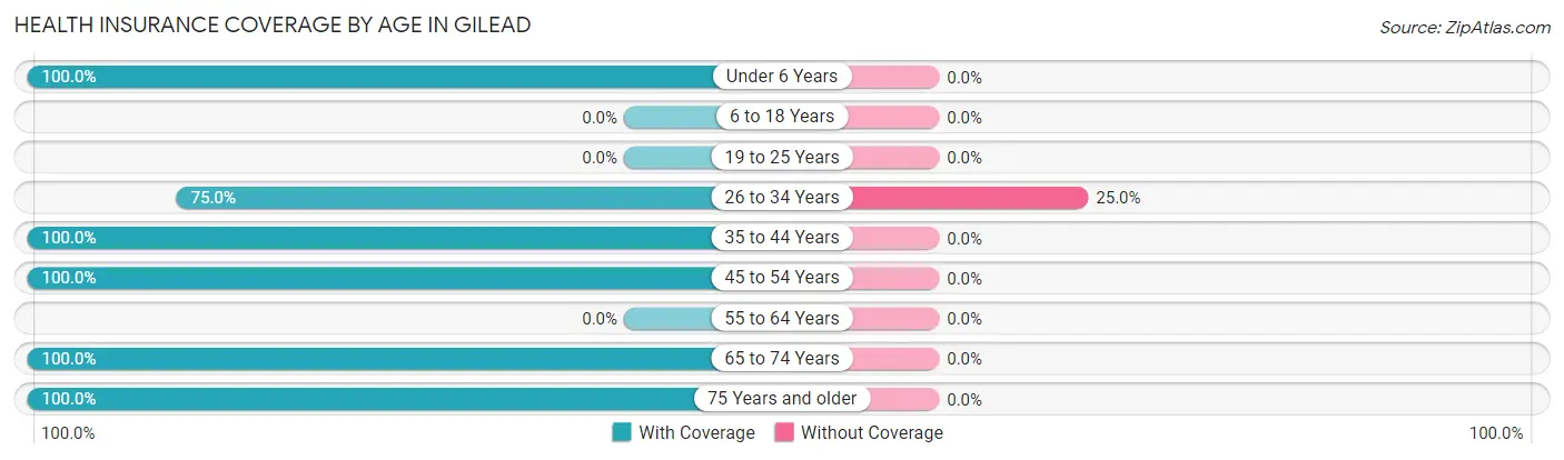Health Insurance Coverage by Age in Gilead