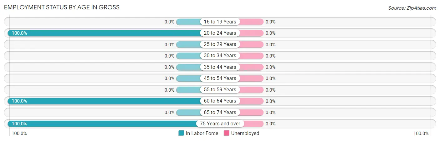 Employment Status by Age in Gross