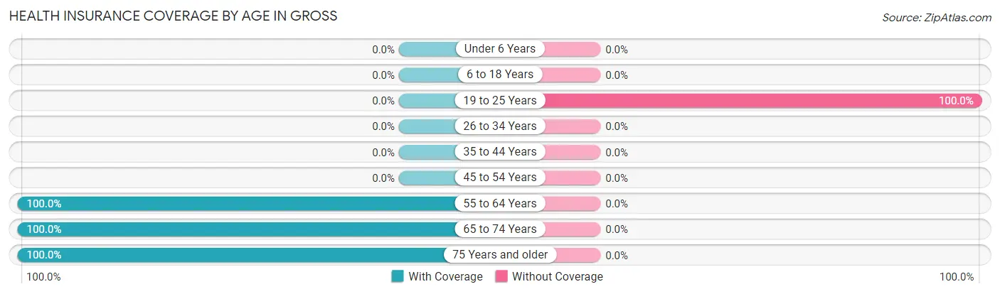 Health Insurance Coverage by Age in Gross