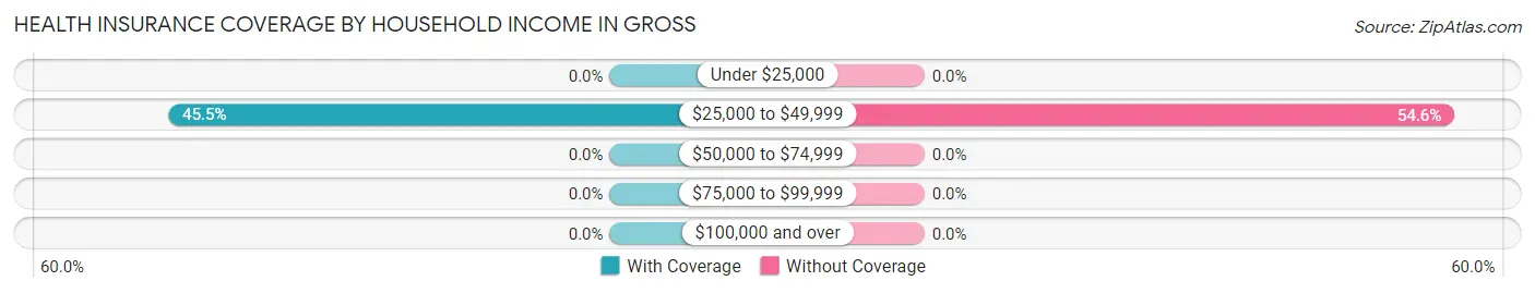 Health Insurance Coverage by Household Income in Gross