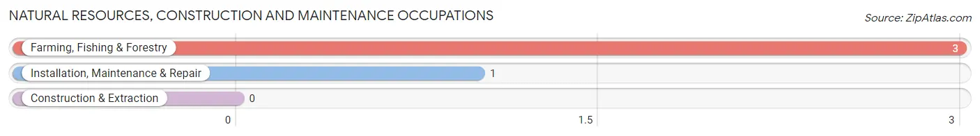 Natural Resources, Construction and Maintenance Occupations in Harbine