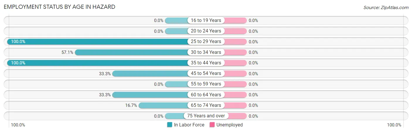Employment Status by Age in Hazard