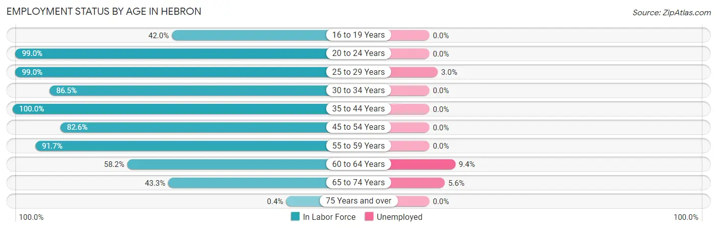 Employment Status by Age in Hebron