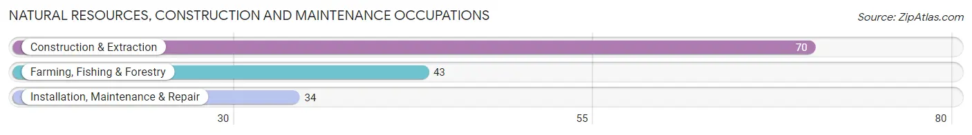 Natural Resources, Construction and Maintenance Occupations in Hebron