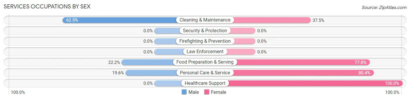 Services Occupations by Sex in Hebron