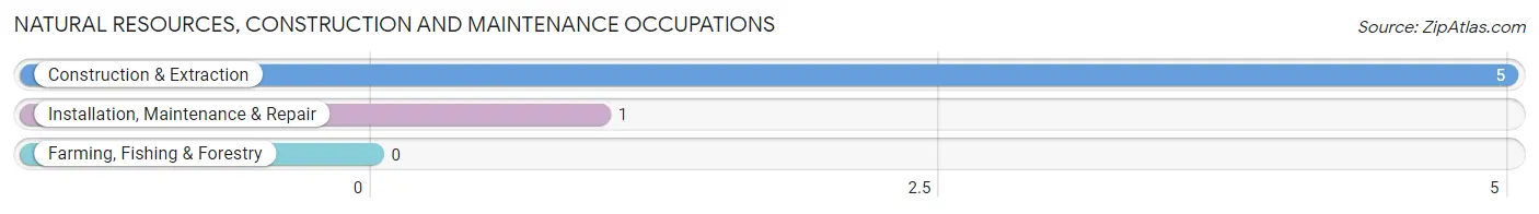 Natural Resources, Construction and Maintenance Occupations in Henry