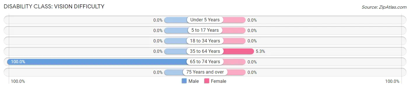 Disability in Henry: <span>Vision Difficulty</span>