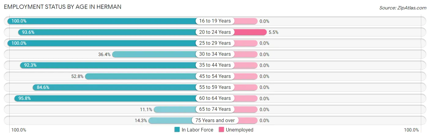 Employment Status by Age in Herman