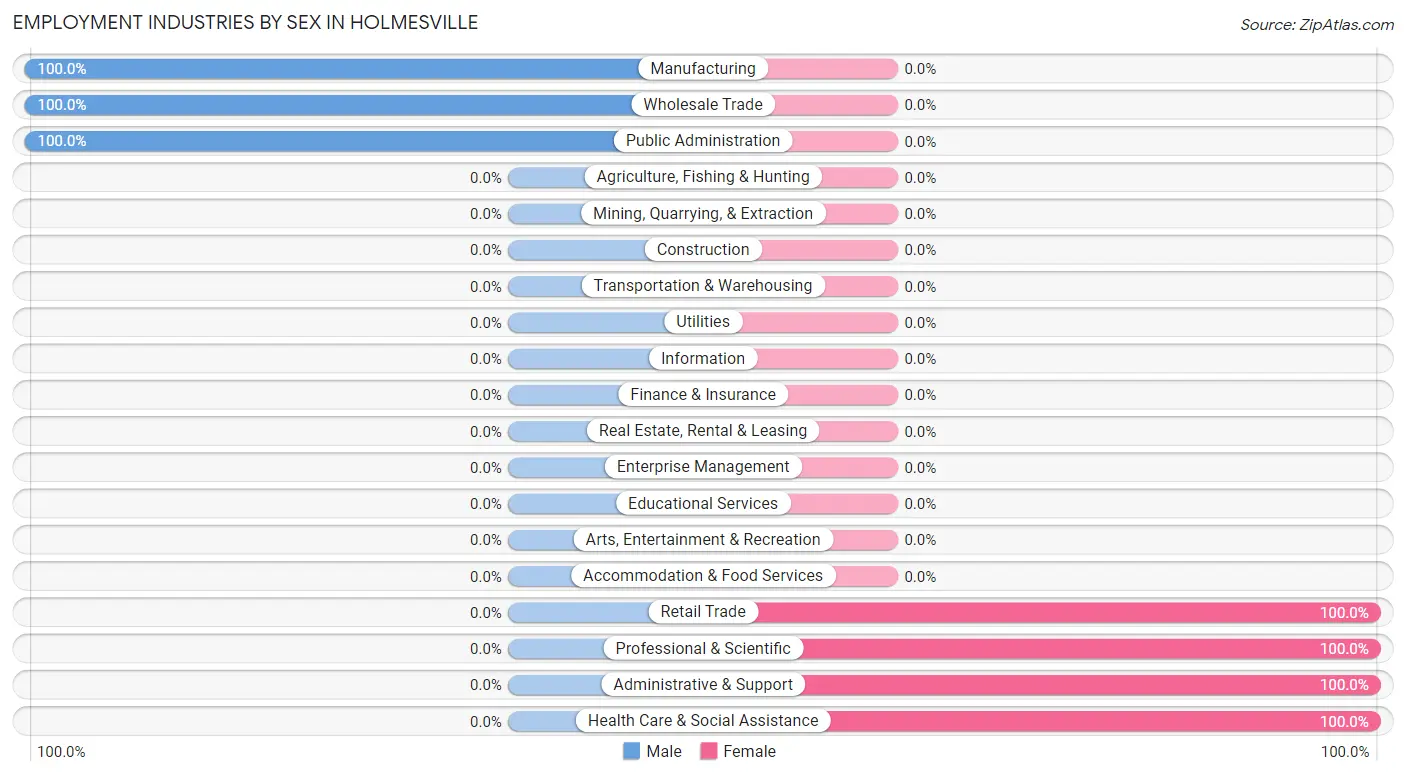 Employment Industries by Sex in Holmesville