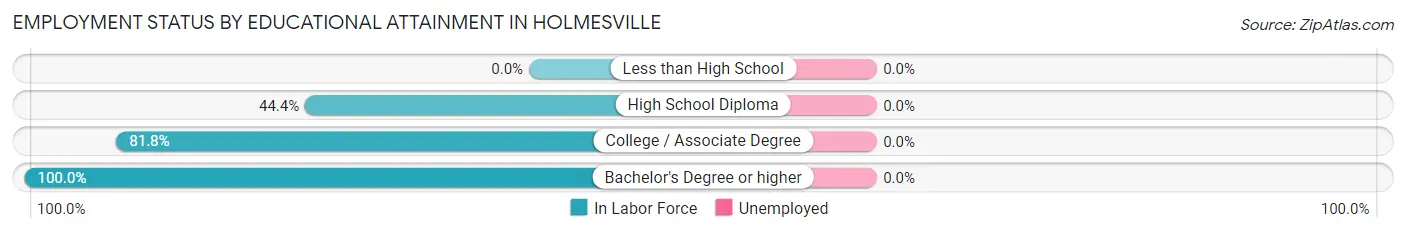 Employment Status by Educational Attainment in Holmesville
