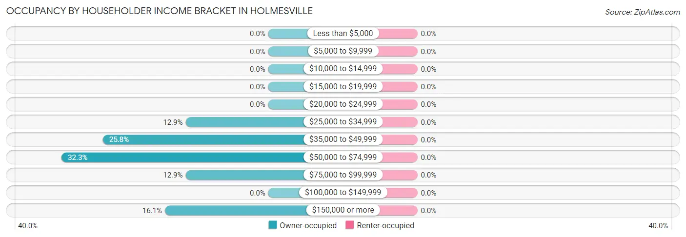 Occupancy by Householder Income Bracket in Holmesville