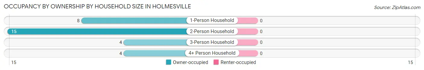 Occupancy by Ownership by Household Size in Holmesville