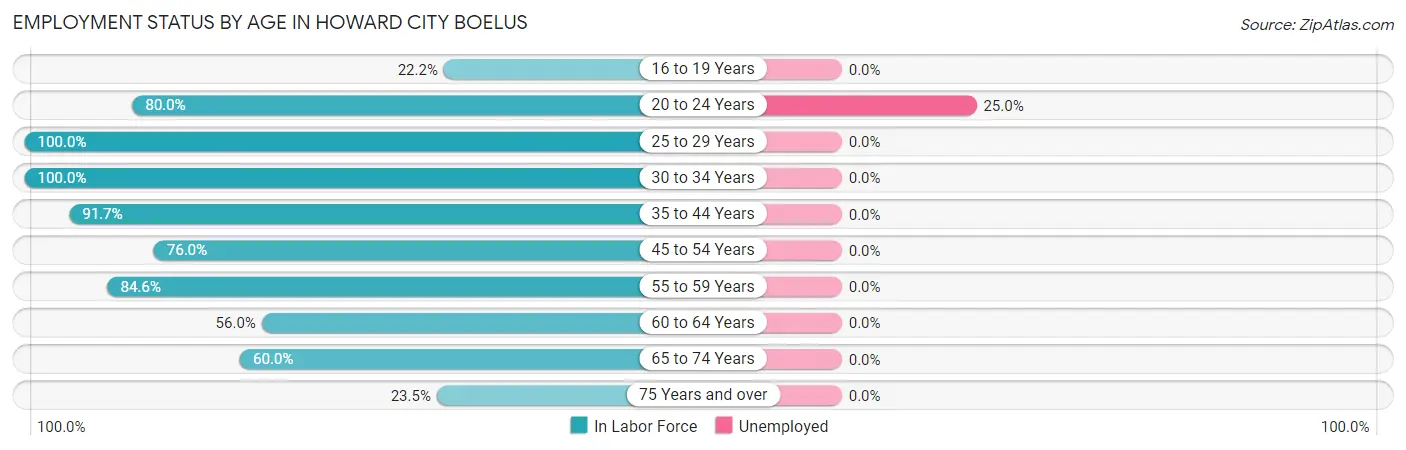 Employment Status by Age in Howard City Boelus