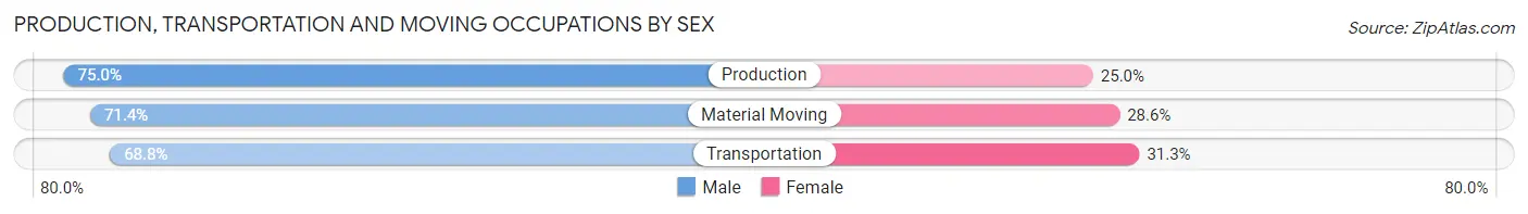 Production, Transportation and Moving Occupations by Sex in Howard City Boelus